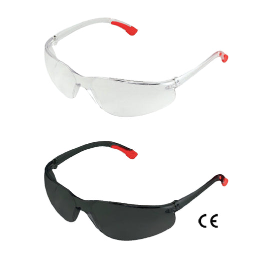 PROFESSIONAL SPECTACLES